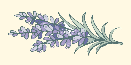 Lavendel Parfum natur